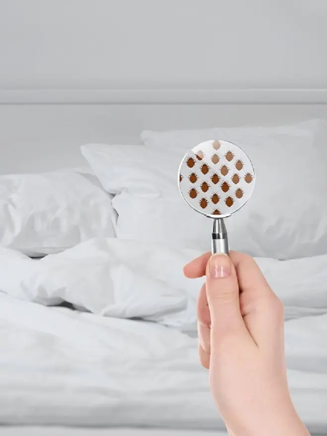 Fournisseur textile professionnel Greenfirst