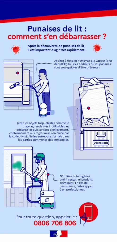 Comment se débarrasser des punaises de lit.