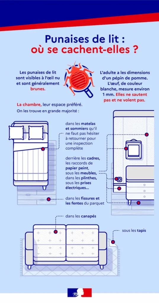 Punaise de lit : où se cachent-elles ?